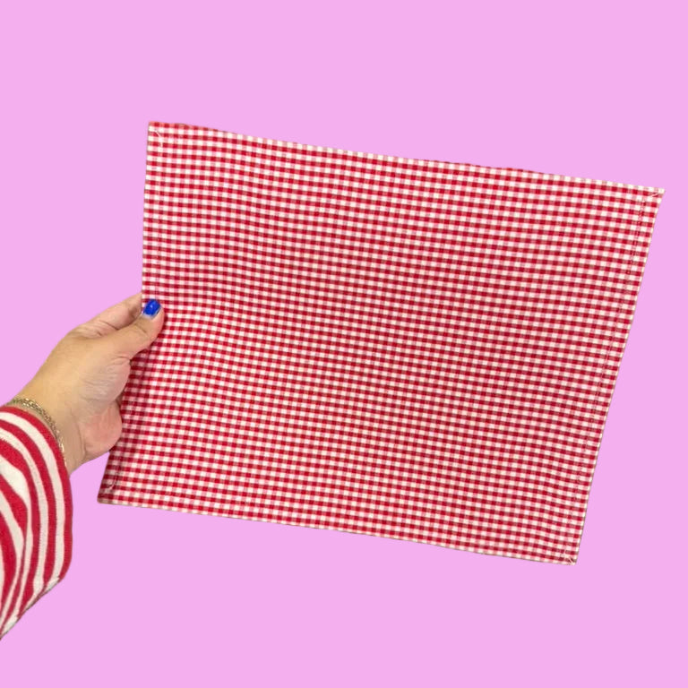 A hand holding a square piece of red and white gingham fabric.