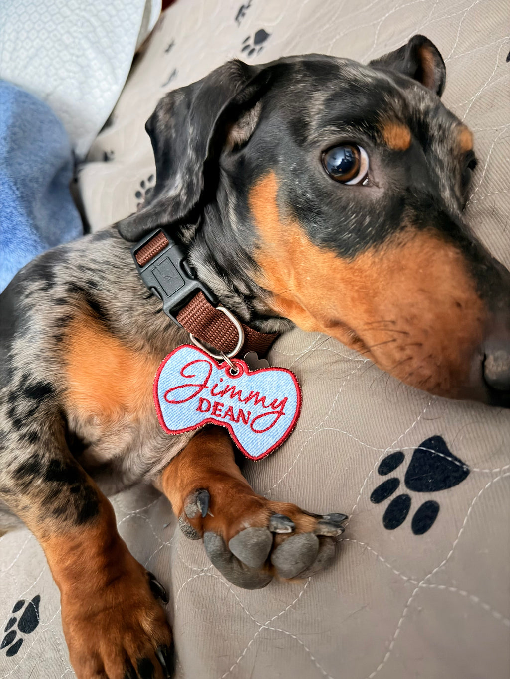 Embroidered Pet Name Tag
